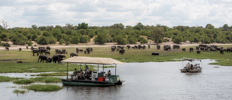 Victoria Falls Back Packers