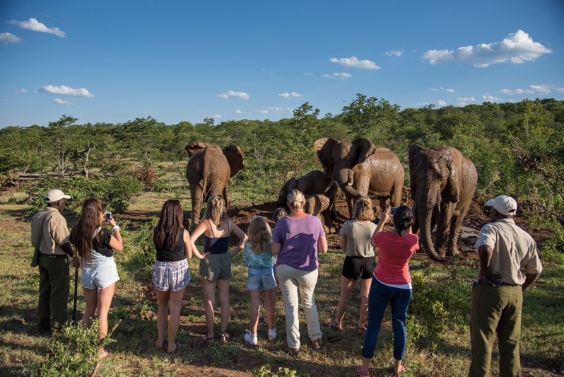 Victoria Falls Back Packers