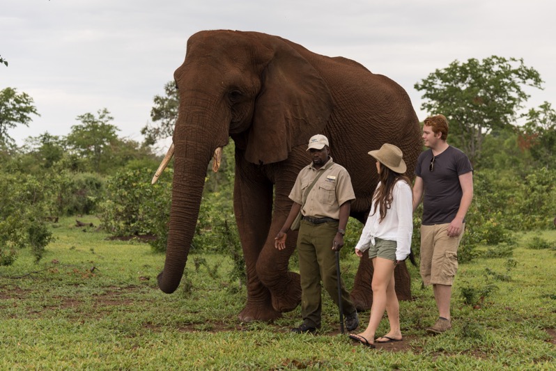 Victoria Falls Back Packers