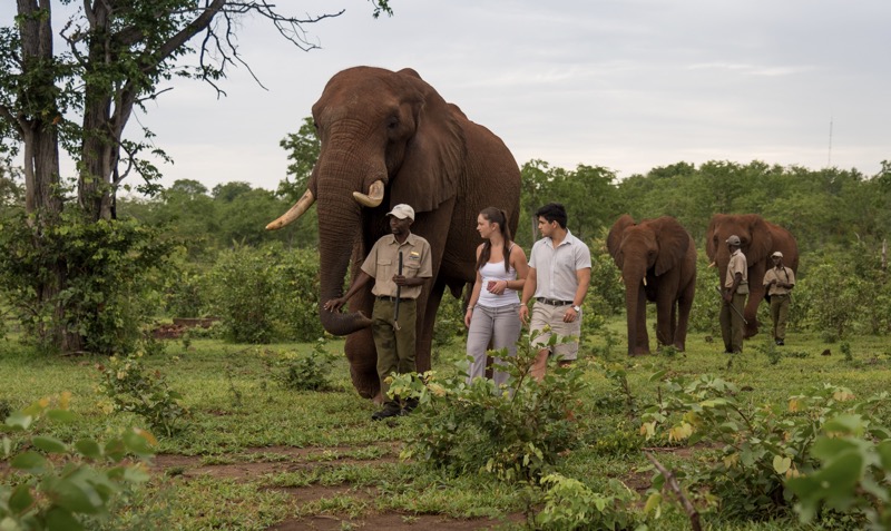 Victoria Falls Back Packers