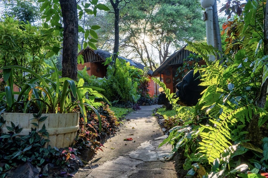 Victoria Falls twin rooms garden