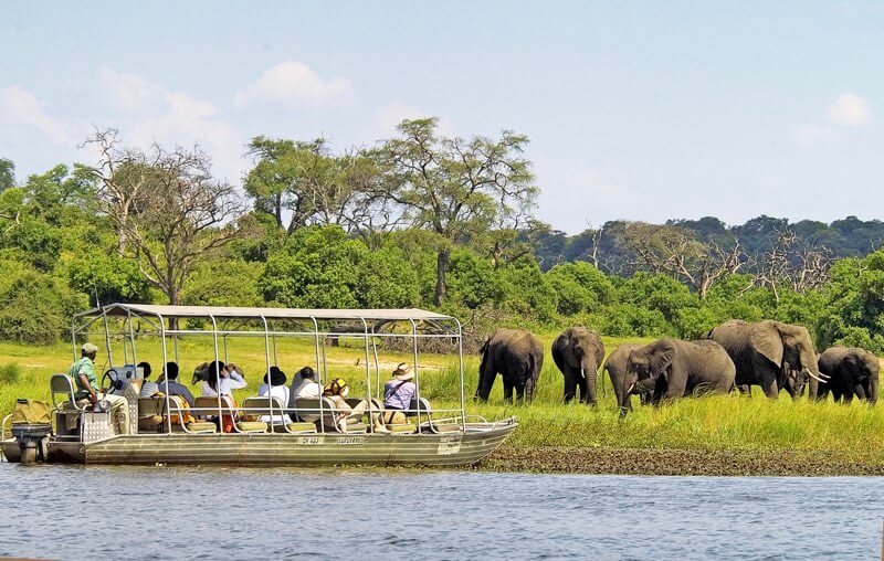 Victoria Falls Back Packers