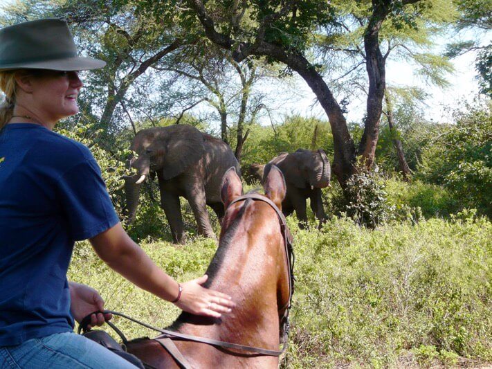 Victoria Falls Back Packers