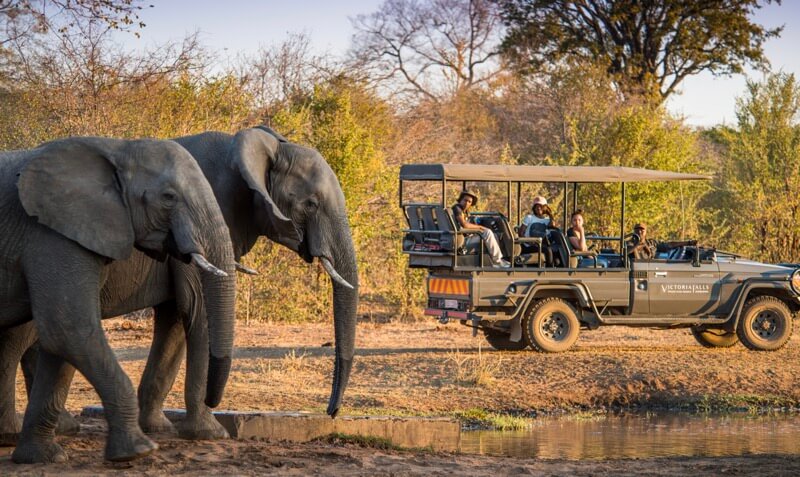 Victoria Falls Back Packers