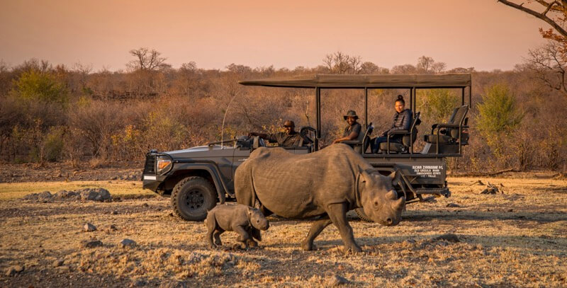 Victoria Falls Back Packers