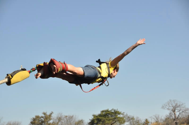 Bungee jump activity booked with victoria falls backpackers