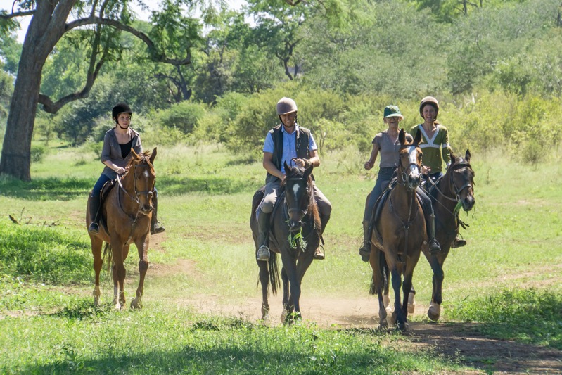 Horse Riding Safari