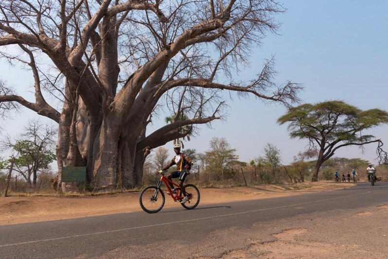 Bike Tour