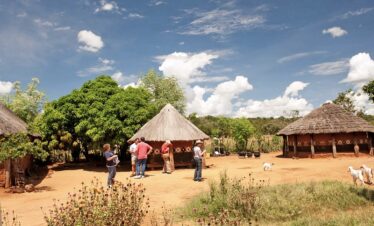 Traditional Village Tour Experience